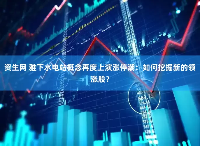资生网 雅下水电站概念再度上演涨停潮：如何挖掘新的领涨股？