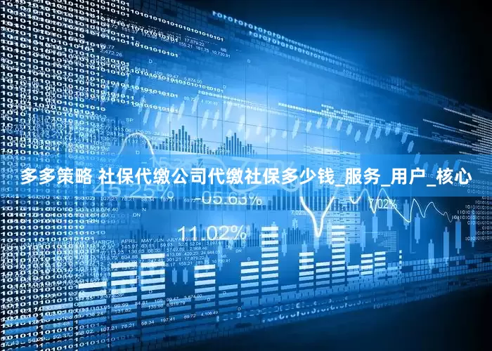 多多策略 社保代缴公司代缴社保多少钱_服务_用户_核心