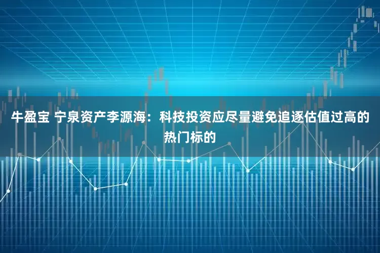 牛盈宝 宁泉资产李源海：科技投资应尽量避免追逐估值过高的热门标的