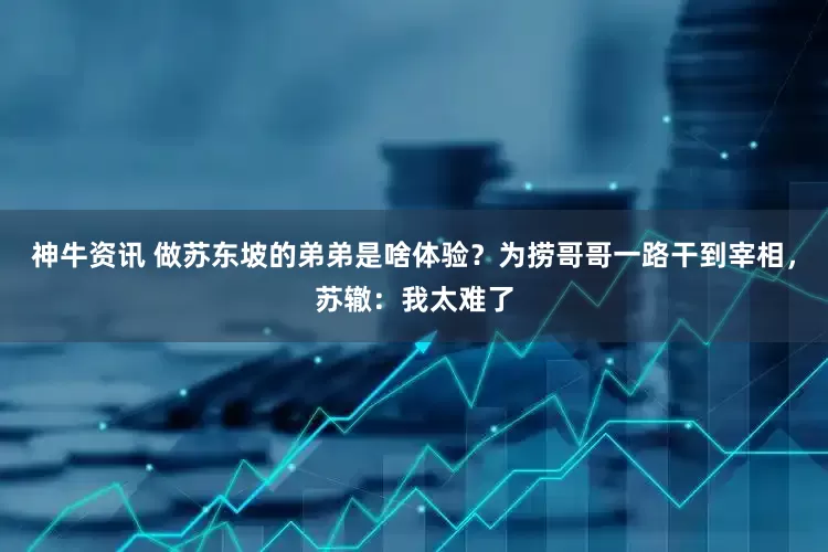 神牛资讯 做苏东坡的弟弟是啥体验？为捞哥哥一路干到宰相，苏辙：我太难了