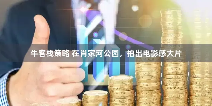 牛客栈策略 在肖家河公园，拍出电影感大片