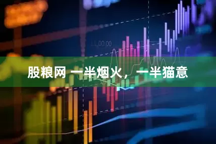 股粮网 一半烟火，一半猫意